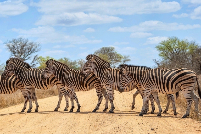 Kampala: 15-dniowe safari ugandyjskie z odbiorem i dowozem15-dniowe safari w Ugandzie