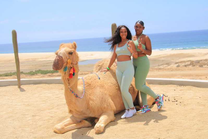 Cabo Beach and Desert Camel Tour with Mega Burrito & Tequila | GetYourGuide