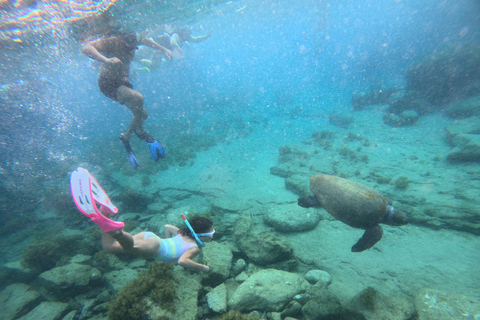 Paphos: snorkeltour met gids naar zeeschildpaddenPaphos: snorkelen met zeeschildpadden met gids
