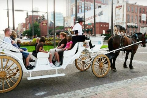 Nashville: giro storico privato in carrozza e cavallo