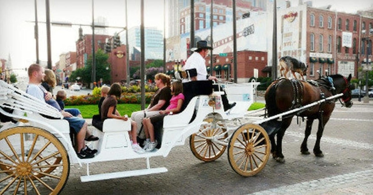 Nashville Private Historic Horse and Carriage Ride GetYourGuide