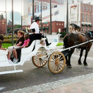 Nashville: giro storico privato in carrozza e cavallo