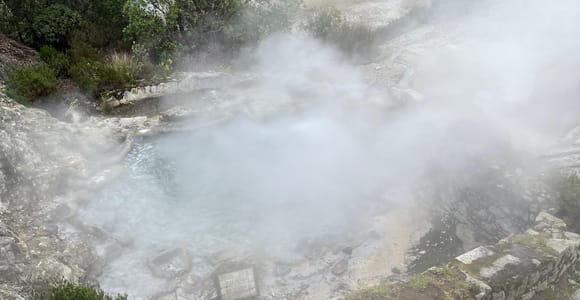 Furnas: Tea Plantation and Hot springs Tour