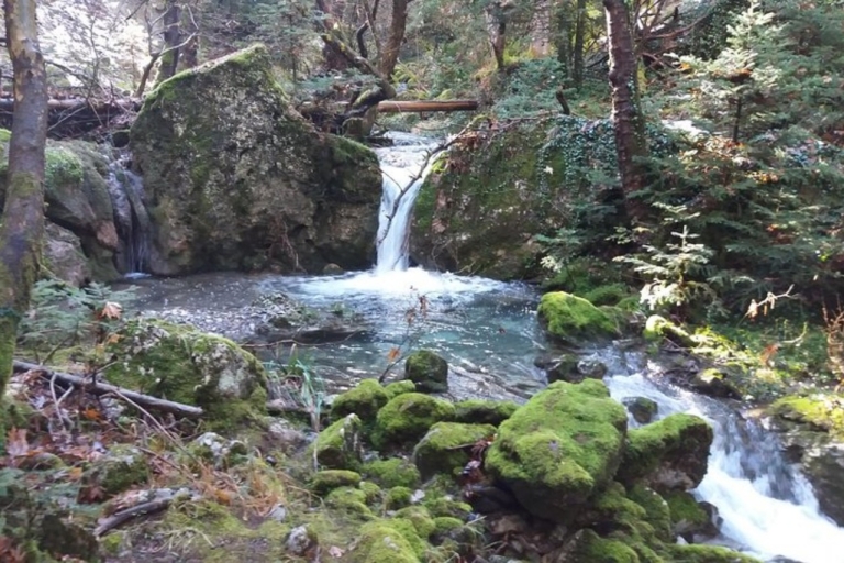 From Kalamata: Menalon Trail Hike with Mountain Guide