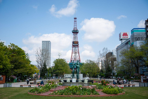 1-Day Walking Tour in Sapporo: Historical Sights of Sapporo