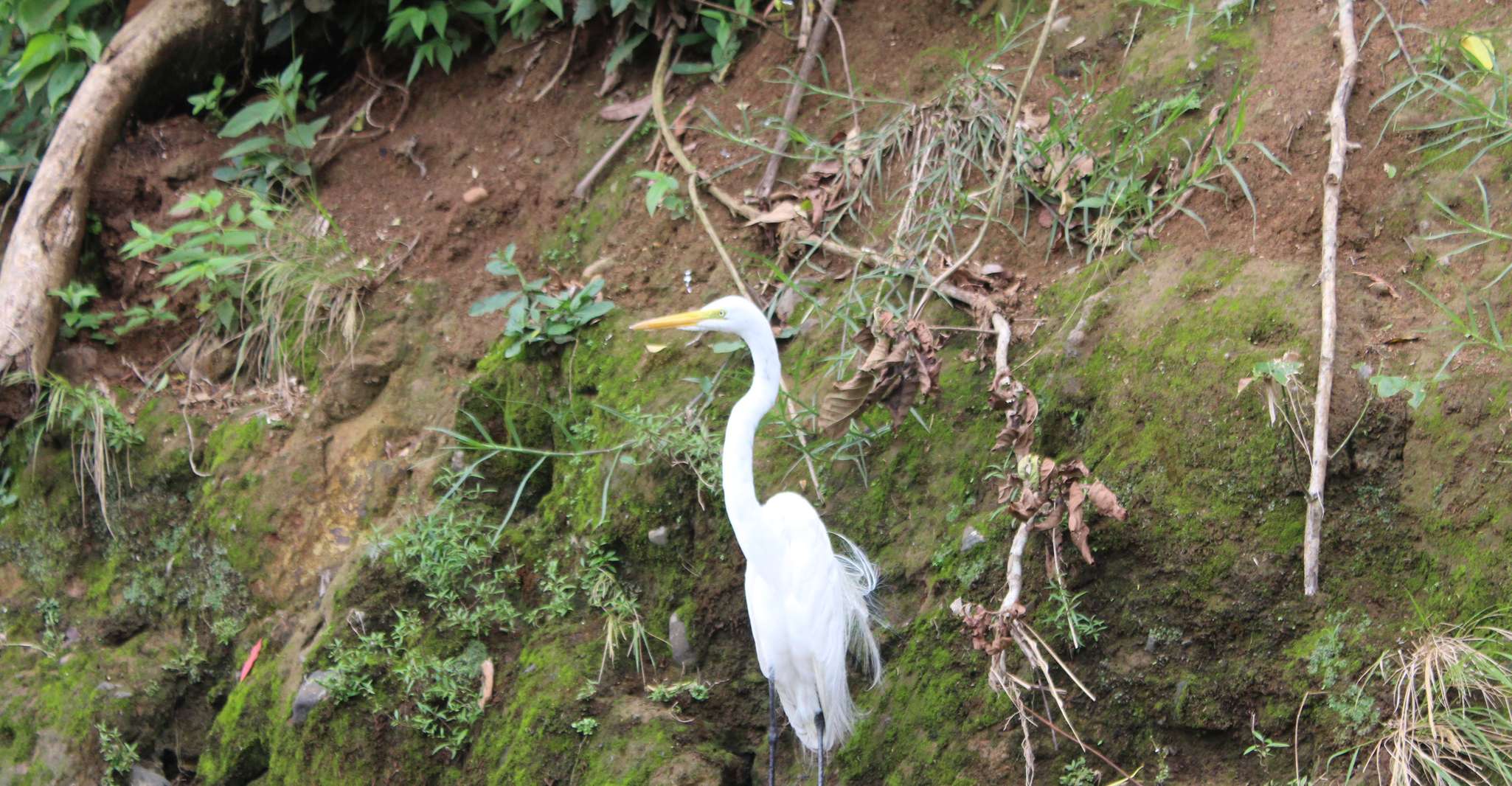 La Fortuna, Safari Float on the Penas Blancas River - Housity