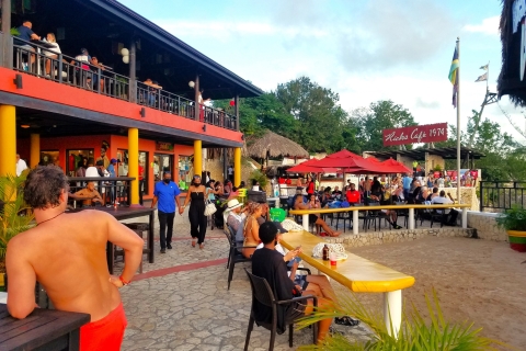 Van Montego Bay: Negril Beach & Rick's Cafe