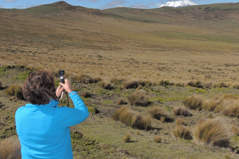 Z Quito: wycieczka z przewodnikiem po Antisanie i kondorachJednodniowa wycieczka z obserwacją antysany i kondorów
