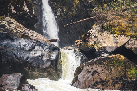 Vancouver: passeio de barco em Granite Falls, cachoeiras e vida selvagemVancouver: passeio de barco pelo zodíaco de Granite Falls