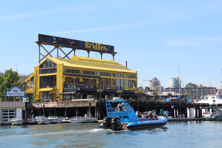 Vancouver: Granite Falls Zodiac Boat Tour