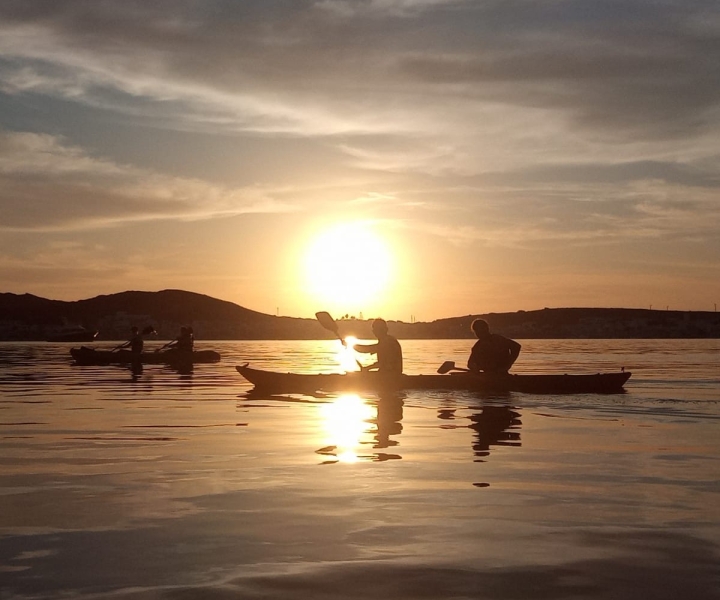 From Ses Salines: Sunset Kayak Tour to Fornells, Menorca