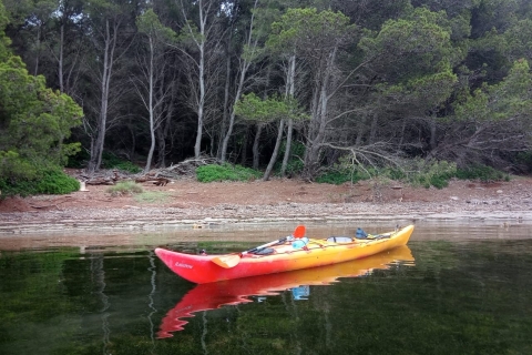 Desde Ses Salines: Excursión en Kayak a Fornells con Treasure Hunt
