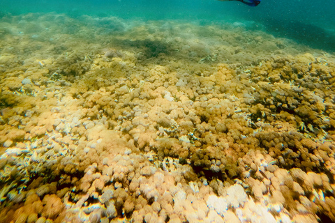 Lombok: Gili Islands Snorkeling Tour with Hotel Pickup Provate snorkling gili island with camera underwater