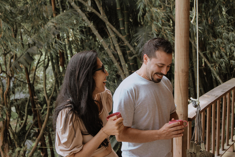 Medellín: Coffee and native bees experience