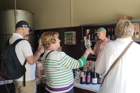 Salou: Priorat & Siurana Weinkeller-Tour mit WeinprobeSalou: Priorat und Siurana Jeep Tour mit Weinprobe