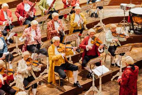 Wien: Mozartkonsert och österrikisk middagKategori C