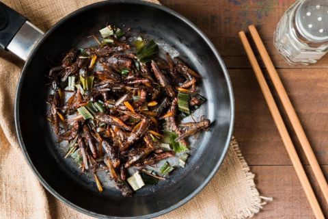 Schwetzingen: Insect Cooking Class with Meal and Drinks