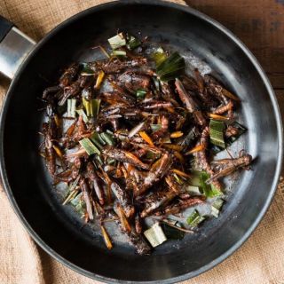 Schwetzingen: Insect Cooking Class with Meal and Drinks