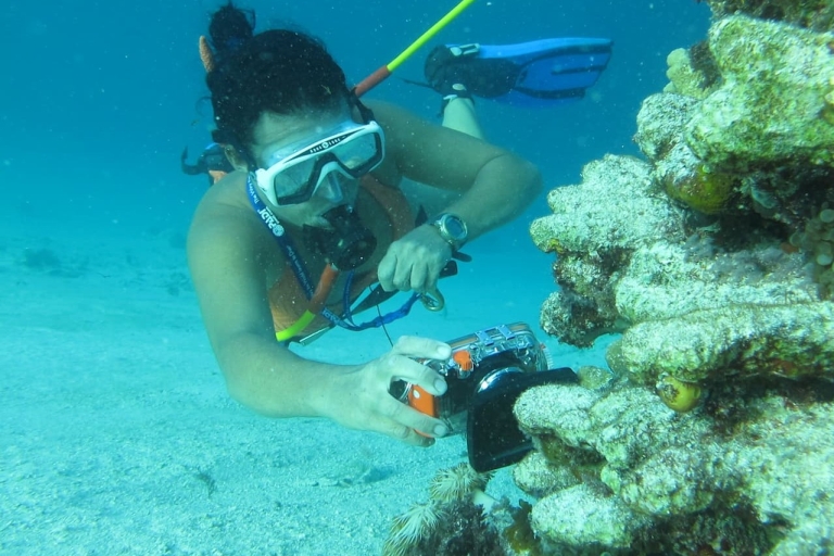 Punta Cana : aventure guidée en plongée sous-marine