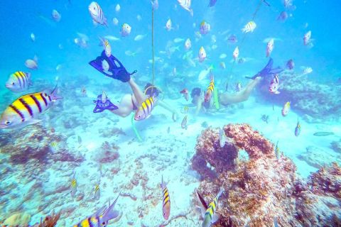 Punta Cana : aventure guidée en plongée sous-marine