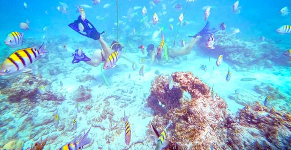 Punta Cana: Guided Power Dive Adventure