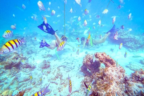 Punta Cana: przygoda z nurkowaniem z przewodnikiem