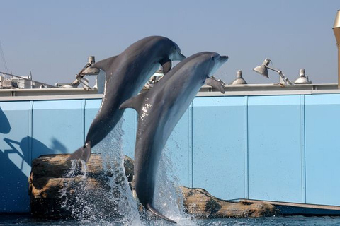 Genoa: World-Famous Aquarium and Lighthouse Combo Ticket