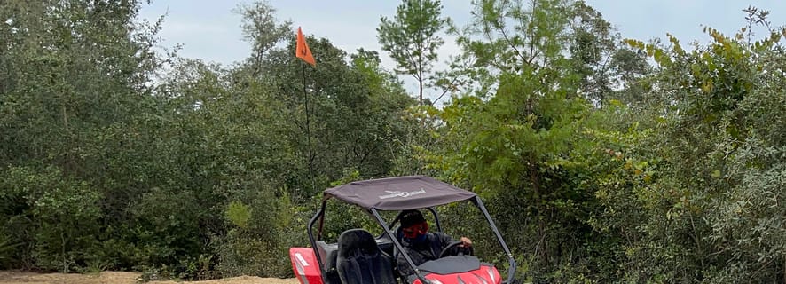 Ocala: Ocala Dunes Buggy Adventure