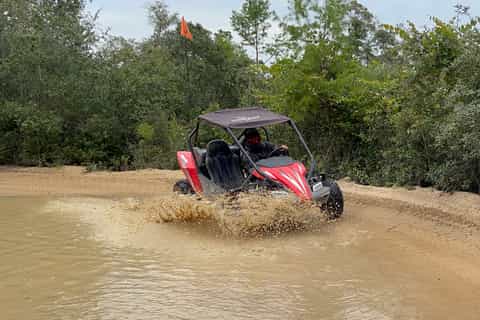 Ocala: Ocala Dunes Buggy Adventure