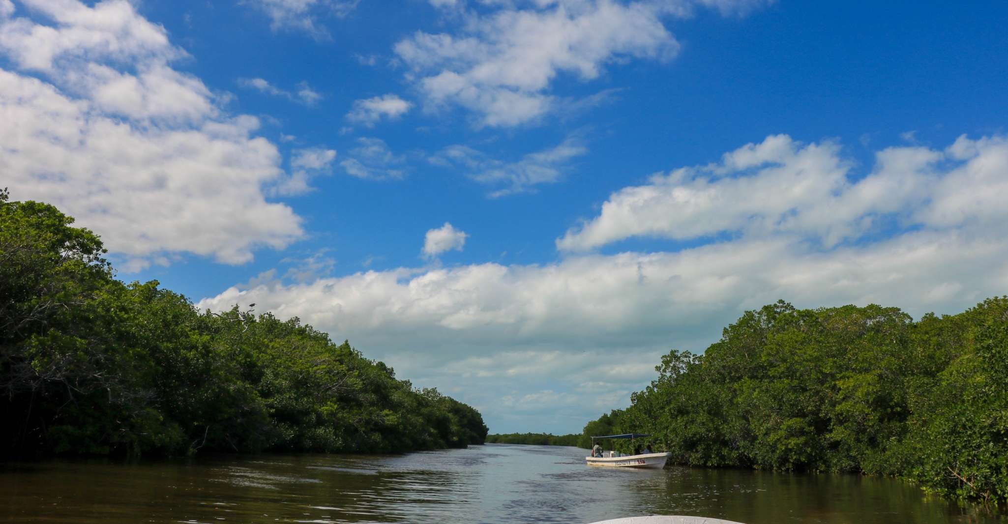 Rio Lagartos, River Boat Tour with Natural Mayan Bath - Housity