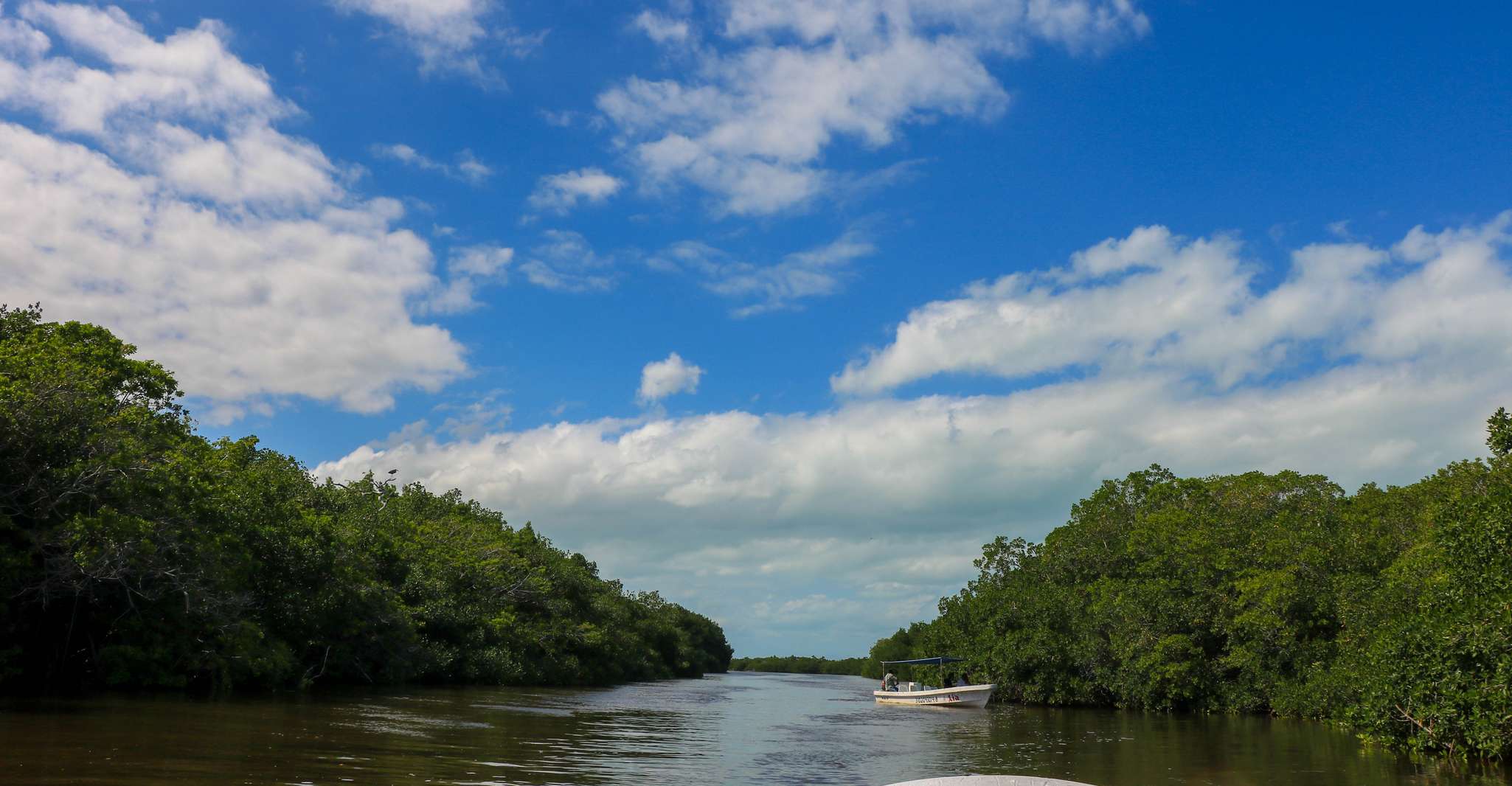 Rio Lagartos, River Boat Tour with Natural Mayan Bath - Housity