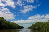 Río Lagartos, recorrido en bote de río con baño maya natural - Housity