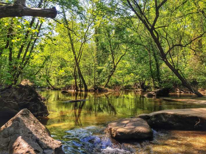 Richmond: Guided Hike in James River Park