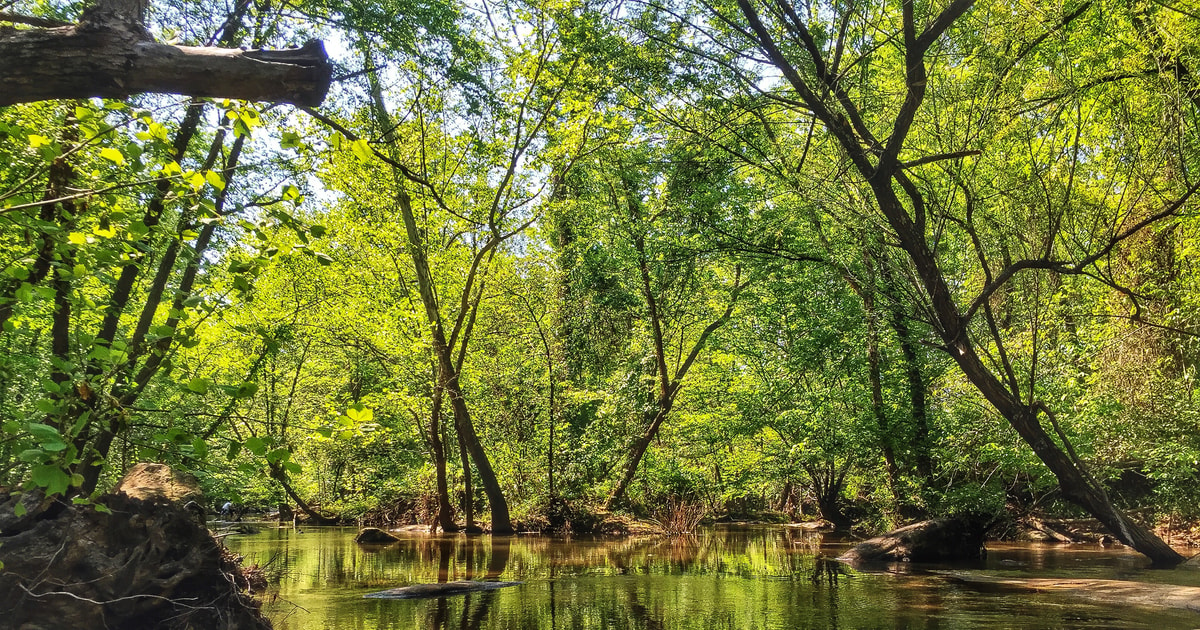 Richmond: Guided Hike in James River Park | GetYourGuide