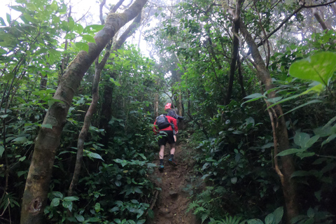 Kandy: Waterfalls and Local Village Day Tour with Lunch