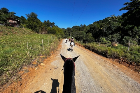 Paraty: 3-Hour Rainforest Horseback Ride & Waterfall Tour
