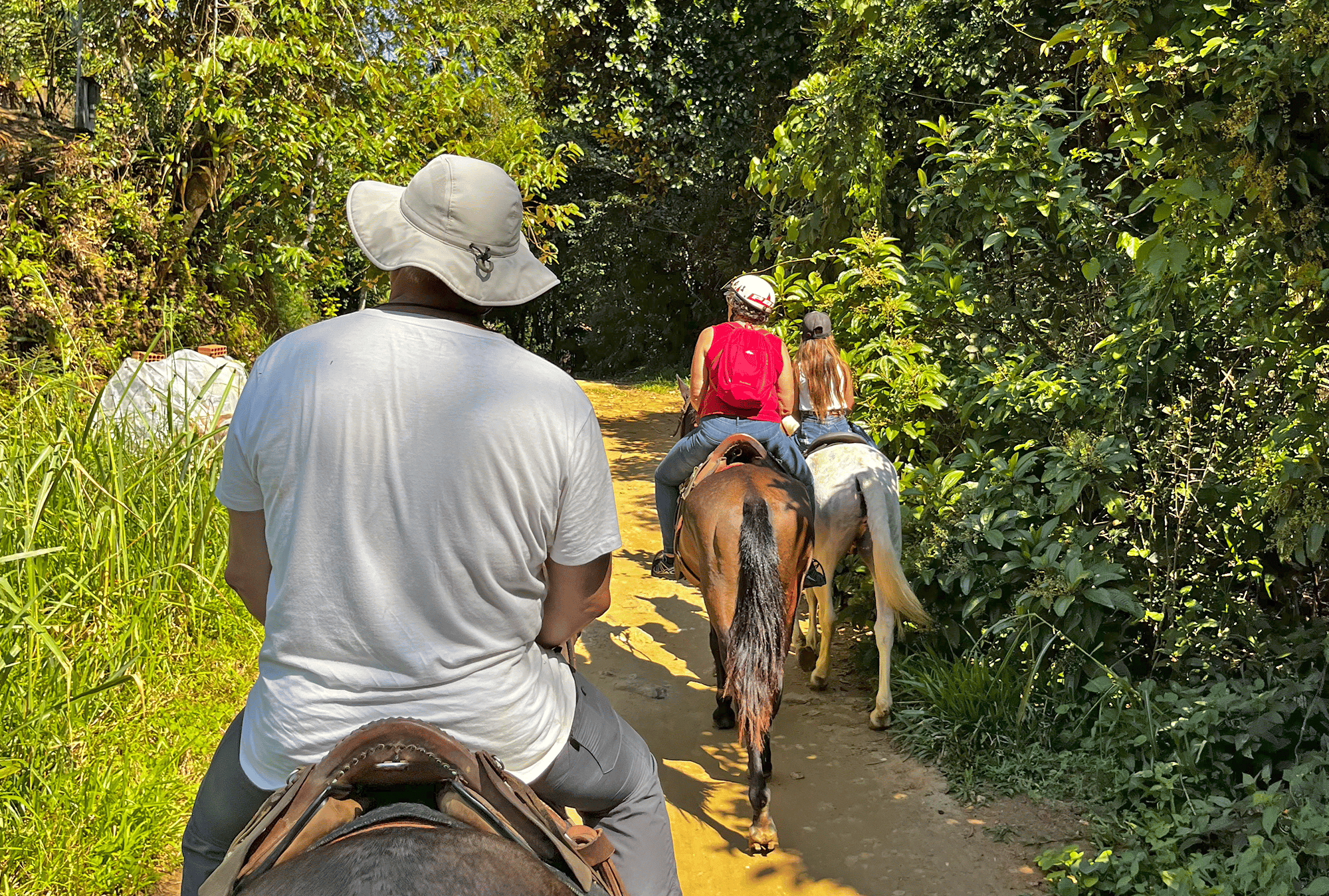 Paraty: 3-stündiger Ausritt durch den Regenwald