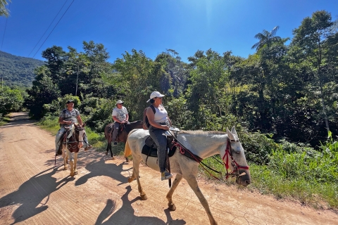 Paraty: Recorrido a caballo por la selva tropical de 3 horas y recorrido en cascada