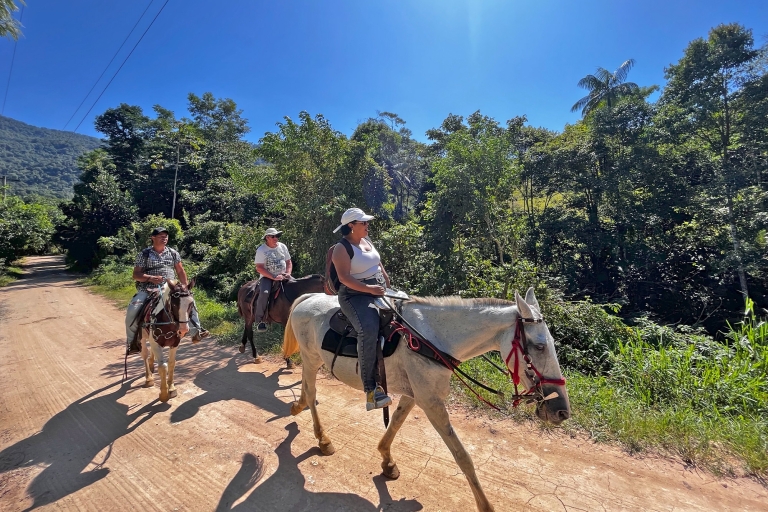Paraty: balade à cheval et forêt de 3 heures dans la forêt pluviale