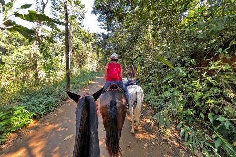 Paraty: 3-uur durende regenwoud-paardrijden en -watervalentocht