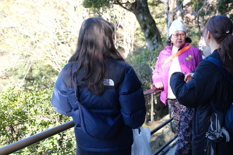 E-Bike Tour in Kyoto with Asuka, Japanese graduate student