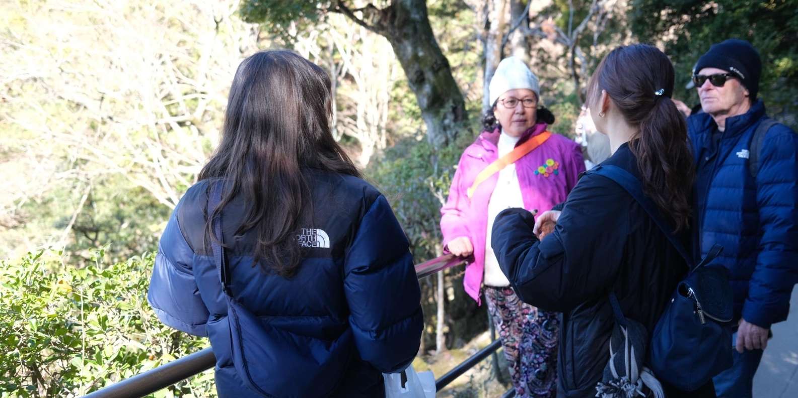 Kyoto experience — temples, geisha, bamboo grove — image 38