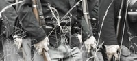 Gettysburg, Horse-Drawn Carriage Battlefield Tour - Housity