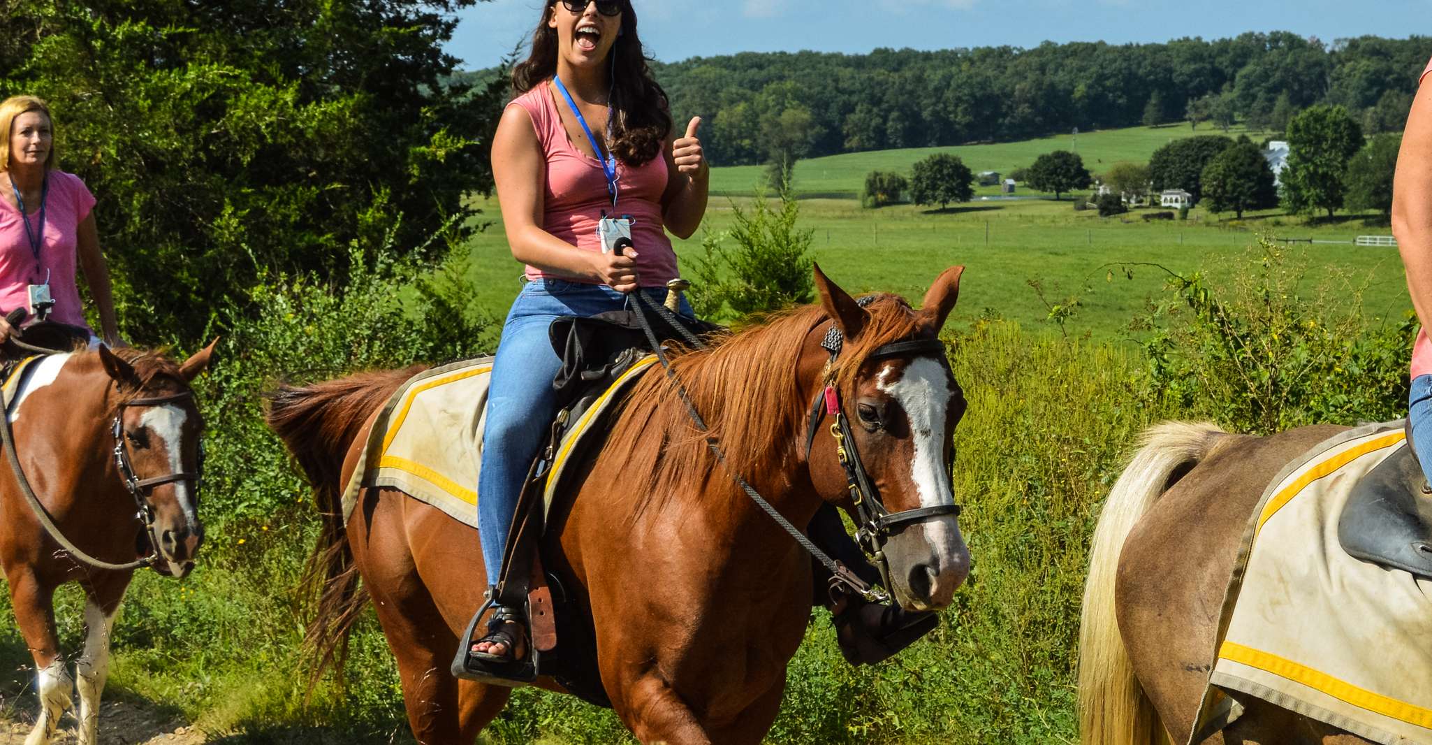 Gettysburg, Licensed Guided Battlefield Horseback Tour - Housity