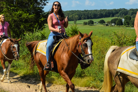 Gettysburg: Licensed Guided Battlefield Horseback Tour