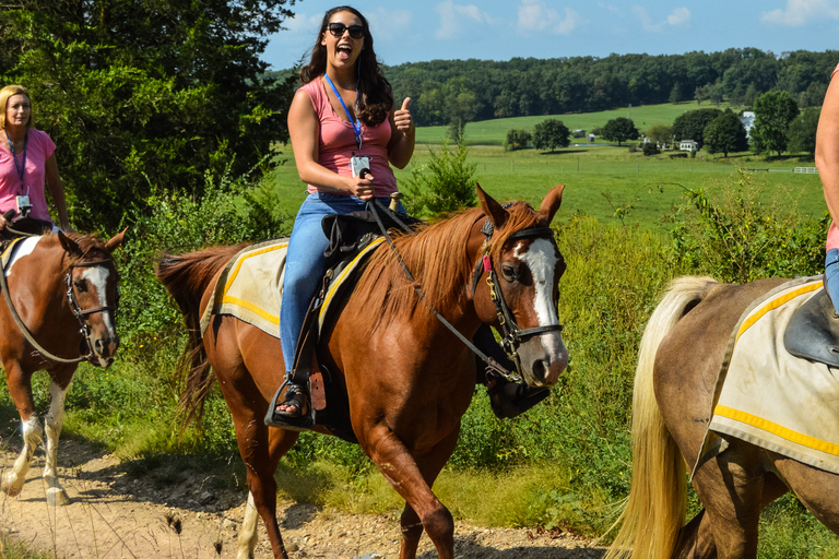 Gettysburg: Licensed Guided Battlefield Horseback Tour