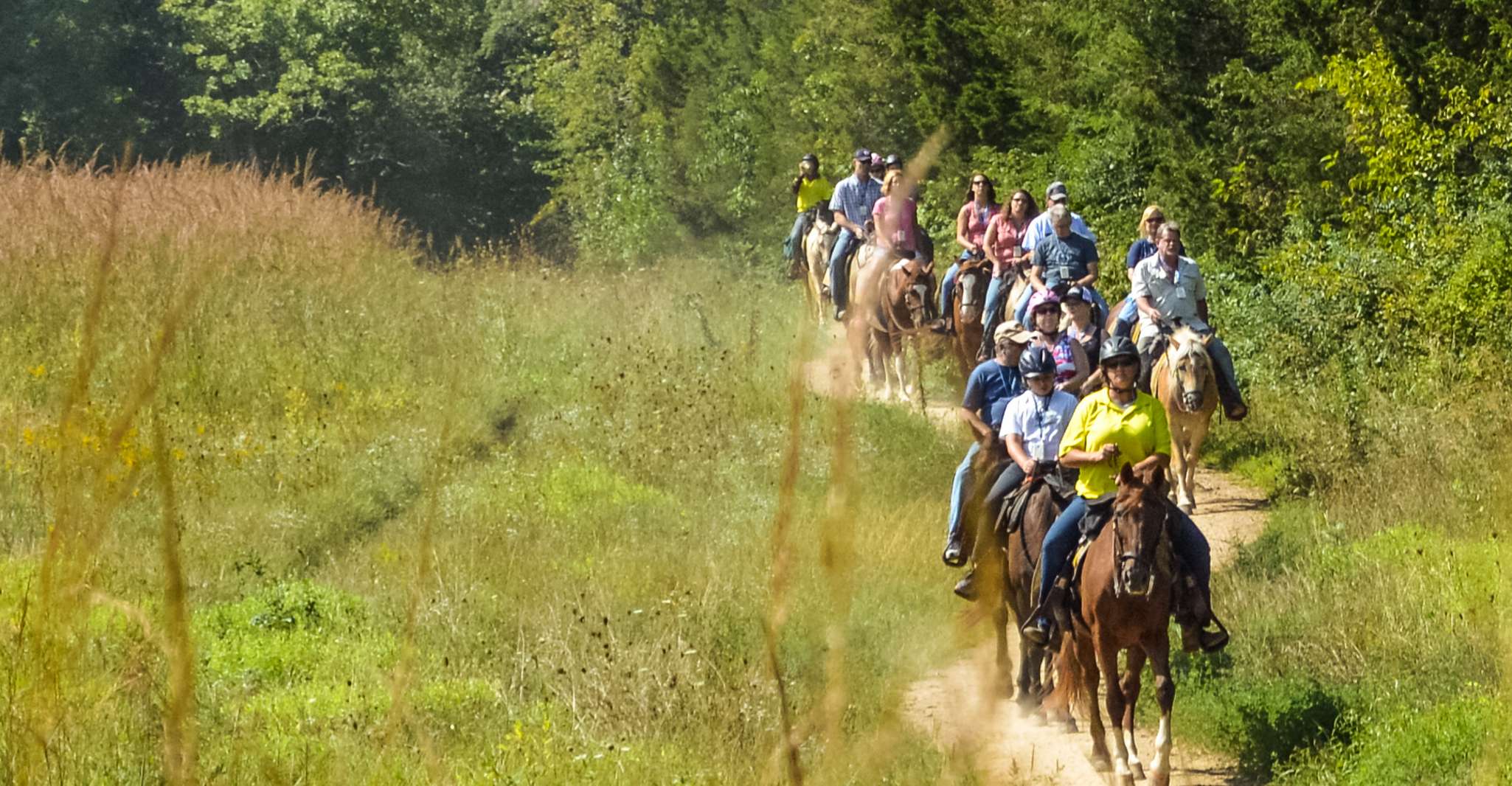 Gettysburg, Licensed Guided Battlefield Horseback Tour - Housity