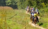 Gettysburg, gelicentieerde Guided Battlefield Horseback Tour - Housity
