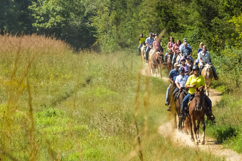 Gettysburg: Licensed Guided Battlefield Horseback Tour