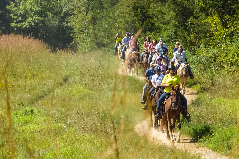 Gettysburg: Licensed Guided Battlefield Horseback Tour